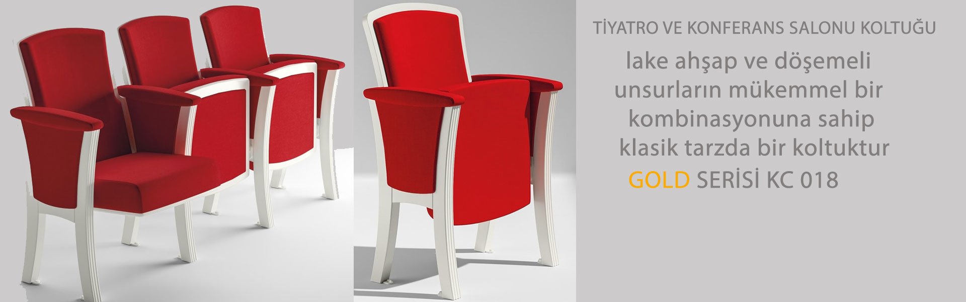 TİYATRO VE KONFERANS SALONU KOLTUĞU  